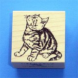 画像: アメリカンショートヘアー・子猫・いきものスタンプ