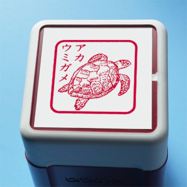 画像1: 【動物角印】亀1・アカウミガメ・27mm/有効印面24.0mm（送料無料）[K27-A006] (1)